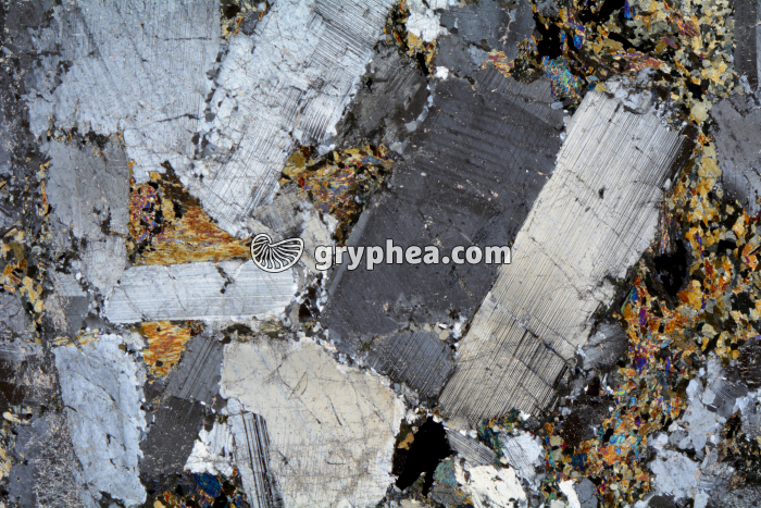 Métagabbro à Hornblende LPA x3,5 - gryphea.com